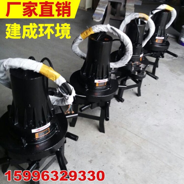 南京建成生產電機 潛水曝氣機為一體的生產型生產廠家 價格質量優