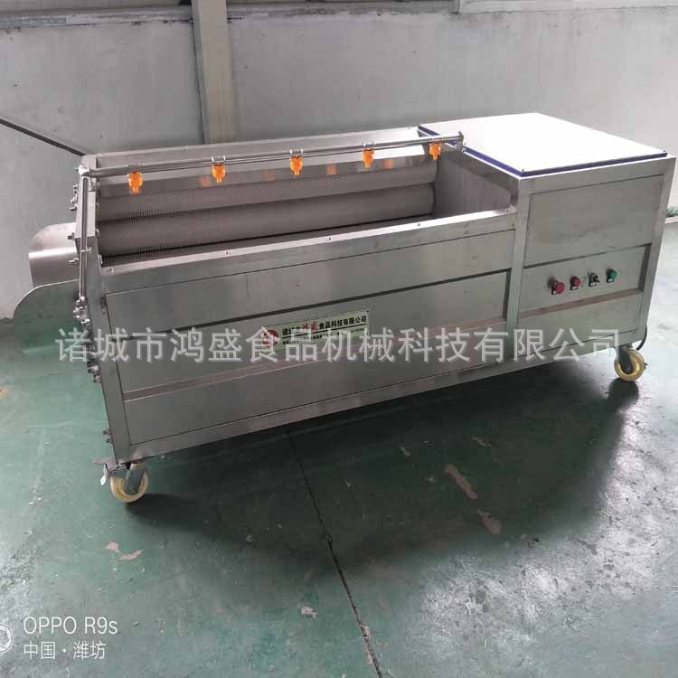 圓蔥清洗機 圓蔥清洗去皮機 諸城鴻盛定制設備