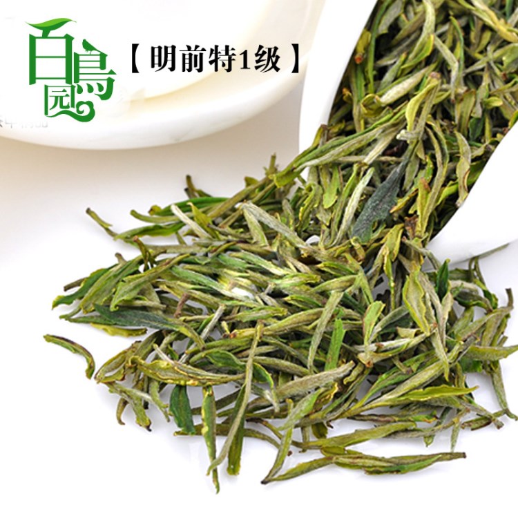 百鳥園茶葉 綠茶 明前特1級 安徽黃山毛峰散裝批發(fā) 下鍋茶搶鮮嘗