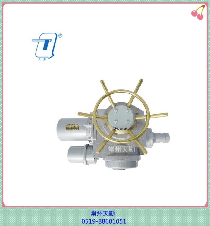 大量供應(yīng)揚(yáng)修型DZW60多回轉(zhuǎn)閥門電動(dòng)裝置 閥門電動(dòng)執(zhí)行器 電動(dòng)頭