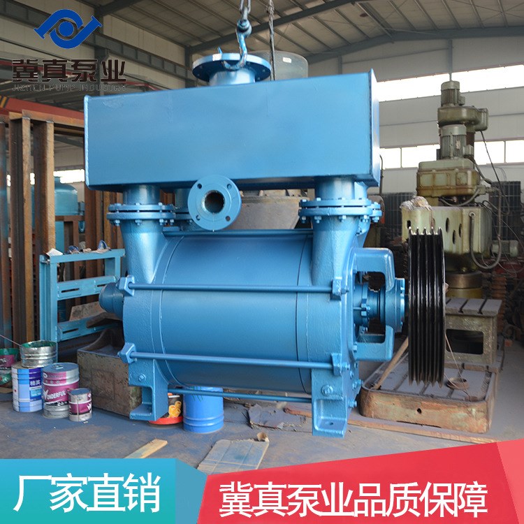 冀真廠家供應(yīng)2BEC-42水環(huán)真空泵及壓縮機(jī) 批發(fā)直銷造紙配套泵