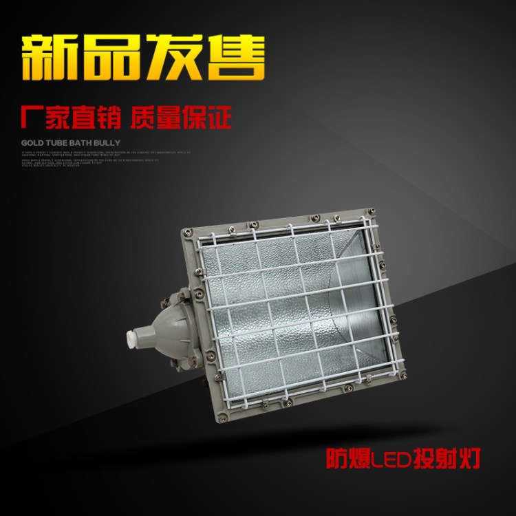 新黎明防爆投光燈400W /BTD400W方形投光燈/工礦燈泛光燈