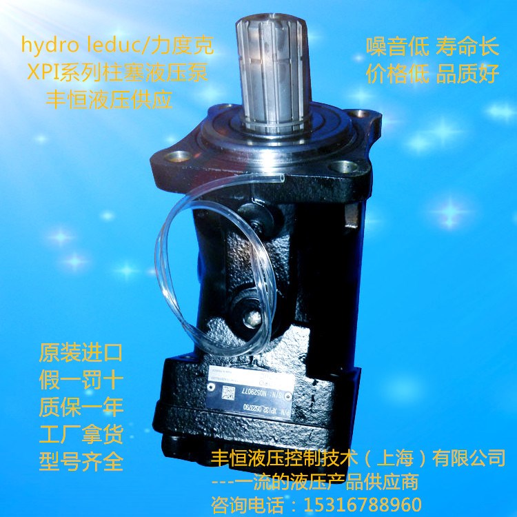 液壓往復(fù)式排液泵 原裝力度克XPSI打樁機用液壓泵 船用液壓泵