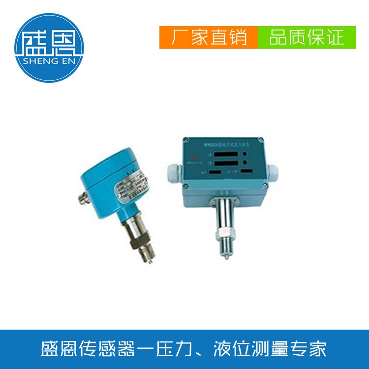 電子式壓力(液位、差壓)開關SNMPM580/SNMDM580