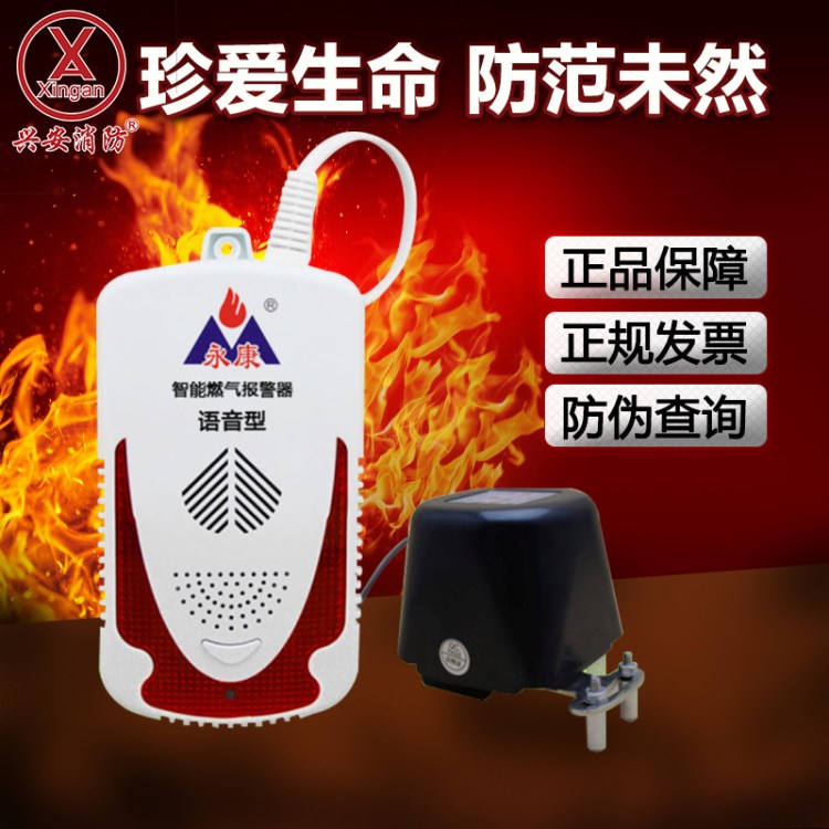 永康語音型燃?xì)鈭?bào)警探測器 家用煤氣報(bào)警器一氧化碳廠家直銷包郵