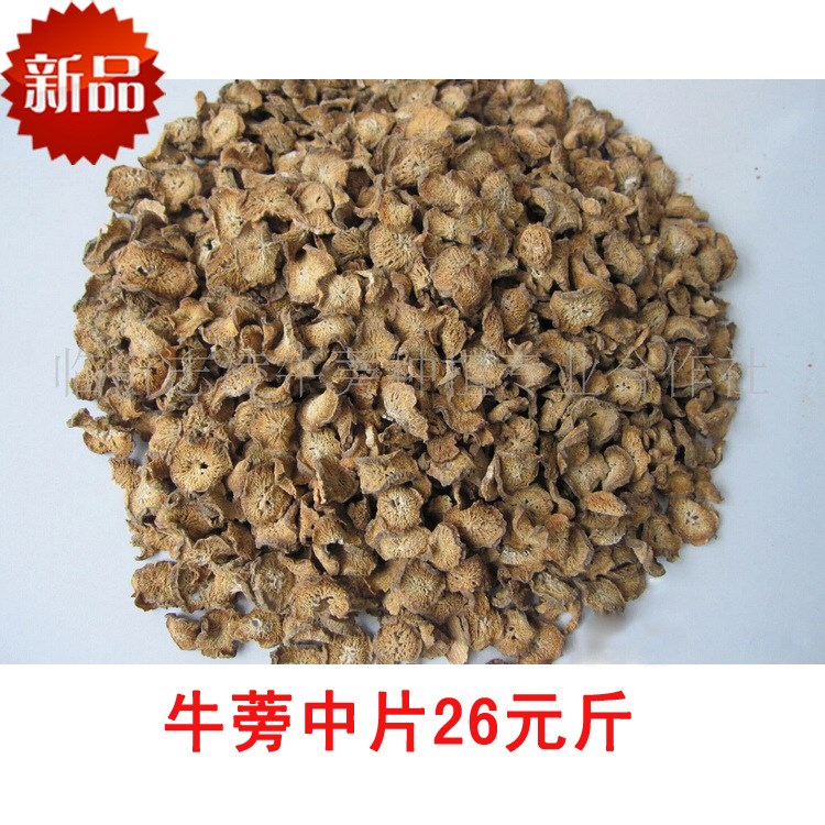 厂家批发供应牛蒡 山东牛蒡茶  柳叶状牛蒡片