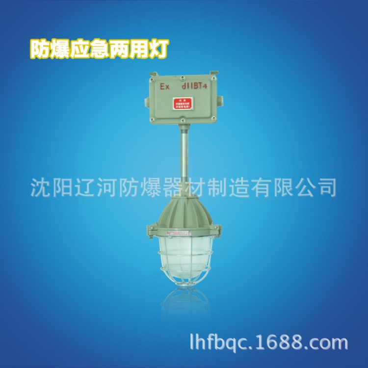 批發供應防爆照明應急兩用燈 廠家直銷 遼河防爆量大從優
