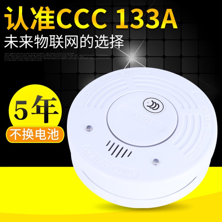 永康家用燃氣報警器切斷閥天然氣煤氣泄漏可燃氣體電磁閥消防