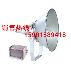 NTC9200防震型投光灯 欧司朗投光灯 1000W投光灯