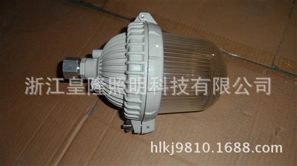 NFE9112應(yīng)急燈|70W應(yīng)急燈|NFE9112泛光燈|NFE9112棚頂燈|防眩頂燈