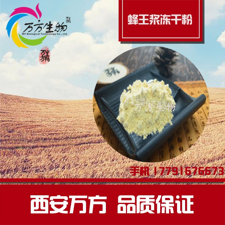 蜂漿凍干粉 葵烯酸3% 天然蜂漿  廠家直銷 蜂漿粉 量大從優(yōu)