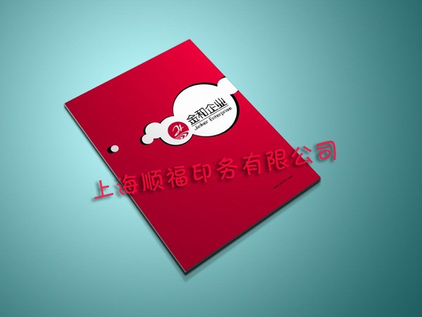 印刷 產(chǎn)品畫冊 公司畫冊 宣傳畫冊  健康飲食畫冊 畫冊 畫冊印刷