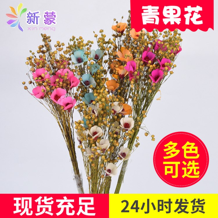 手工干花制作插花百搭 家居室内客厅卧室装饰品青果富贵花 礼品