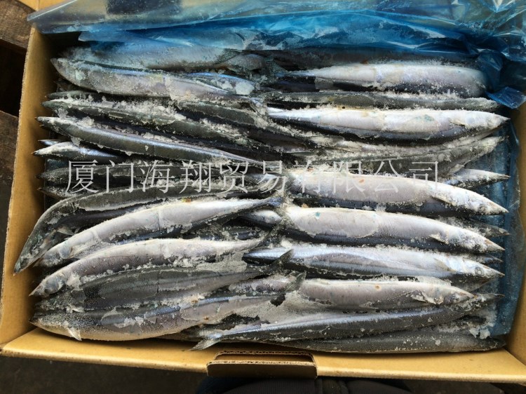 供應(yīng) 批發(fā)秋刀魚 冷凍秋刀魚 凍魚 特級秋刀 Saury