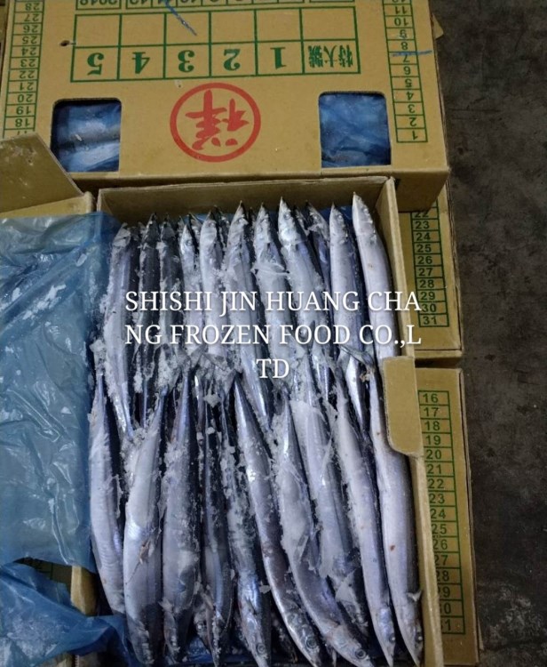 秋刀魚 3號(hào)秋刀 遠(yuǎn)洋捕撈秋刀魚