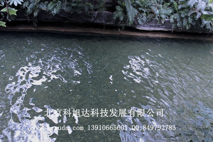 河南6000噸景觀水池綠藻富營養(yǎng)化治理,人工湖水處理方案