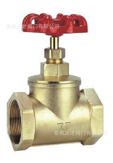 竹簀 黃銅截止閥 絲口截止閥 H型硬密封 J11W 國標(biāo)產(chǎn)品 絲口連接