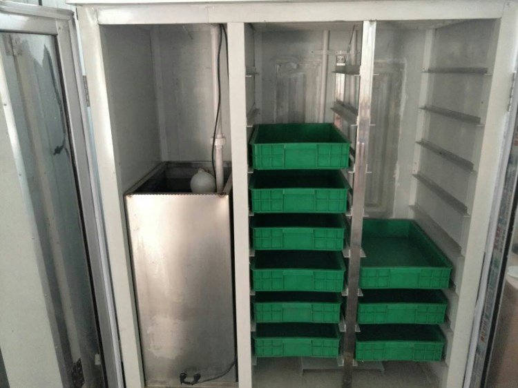 供應商用芽苗機全自動豆芽機 綠色蔬菜豆芽加工設備 綠豆生芽機