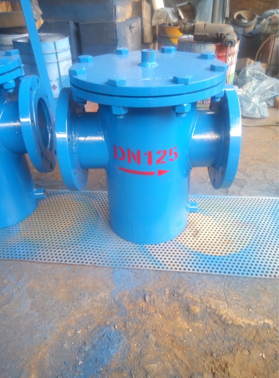 立式直通除污器籃式過濾器臥式直通除污器毛發過濾器DN100