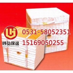 步進梁式加熱爐專用陶瓷纖維模塊