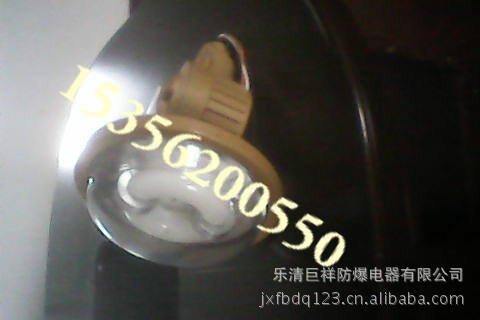 CCD94防爆無極燈 BAD82防爆無極燈 溫州防爆無極燈60E 80W120W