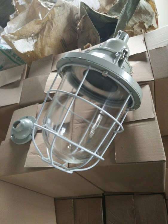 BCD200W隔爆型防爆燈 BCD250W防爆節(jié)能燈 BAD51廠用防爆燈