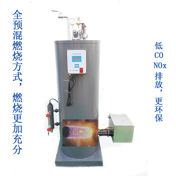 燃氣蒸汽機 高溫蒸汽清洗 全自動鍋爐 小型燃氣蒸汽發生器
