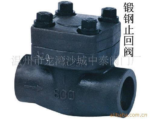 鍛鋼止回閥 小口徑止回閥