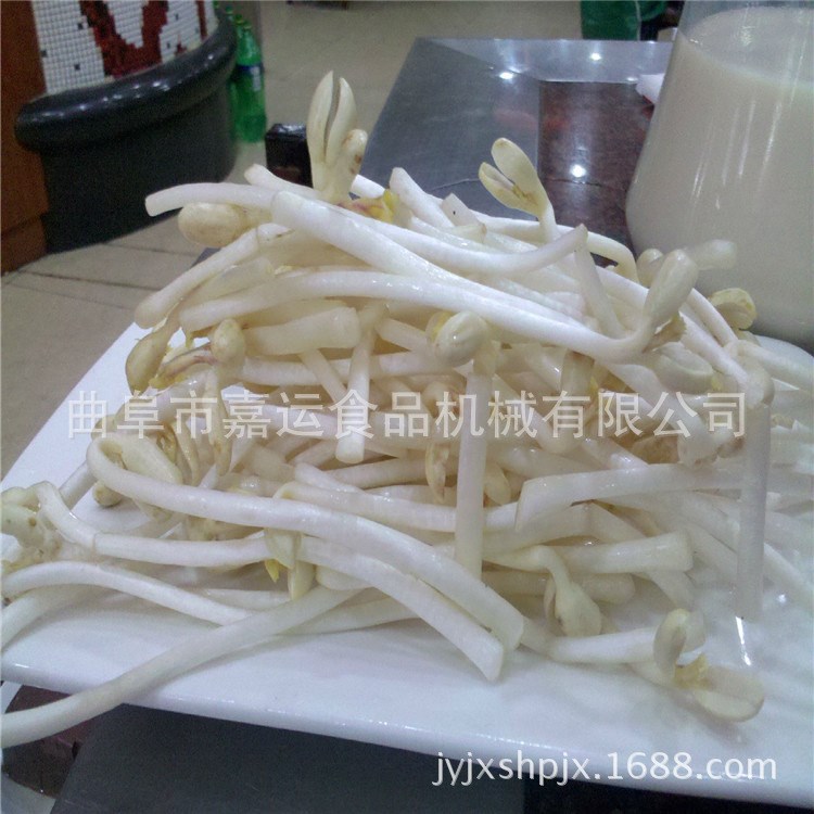 多功能全自動(dòng)家用豆芽機(jī) 新型小型家用豆芽機(jī) 豆苗機(jī)