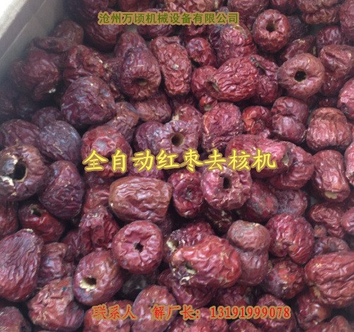 圓紅棗去核機-紅棗加工生產線