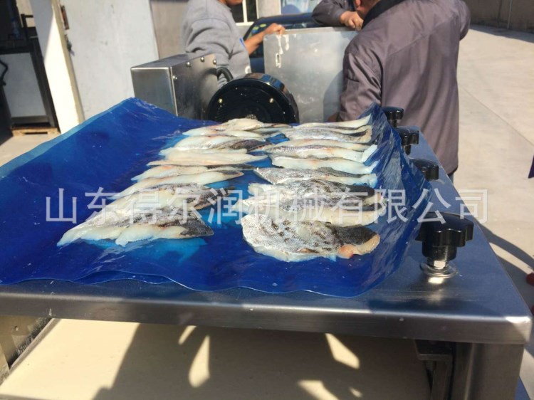 得爾潤魚餅沾粉機 裹糠機  魚餅成型裹粉生產線|廠家直銷價格優