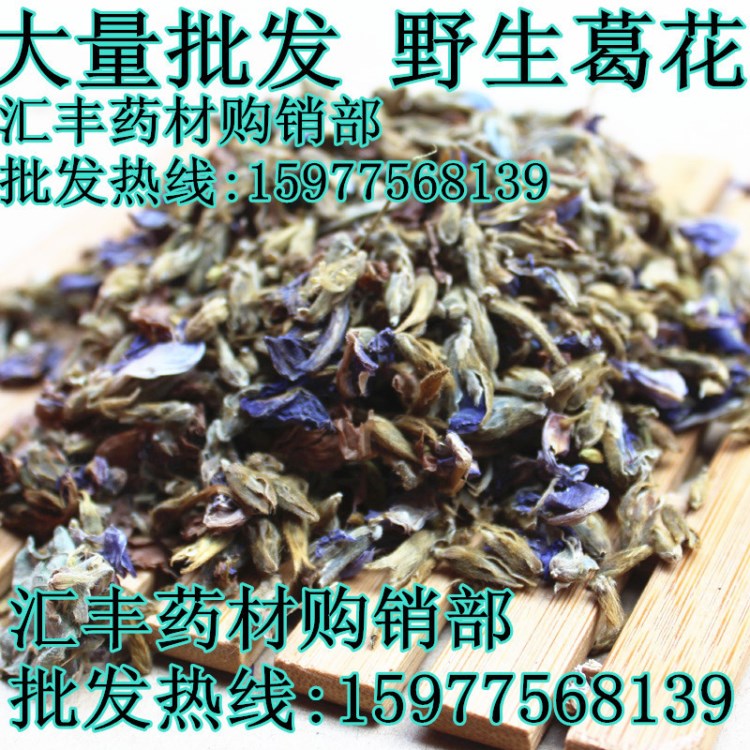 花草茶葛花葛根花 野生葛花茶 葛花湯大量批發(fā)