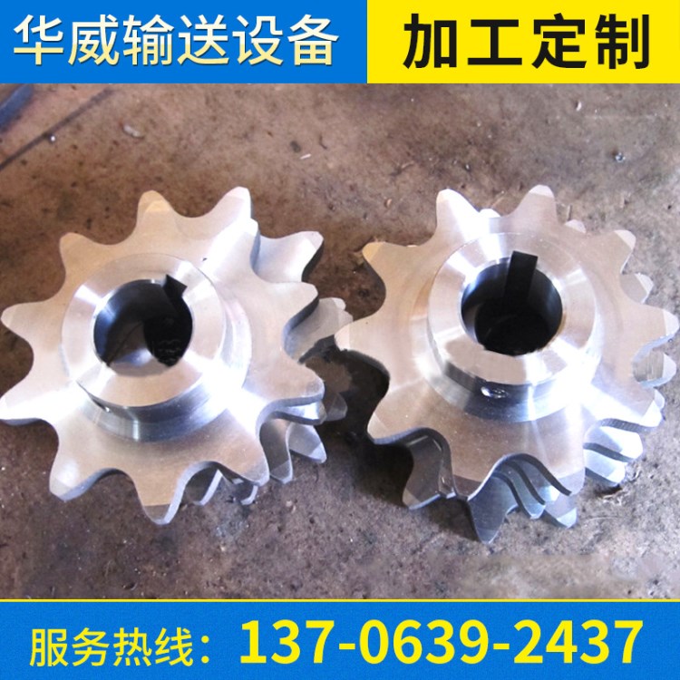 生產 45#鋼電動車鏈輪 斗式提升機鏈輪 不銹鋼鏈輪 鏈條