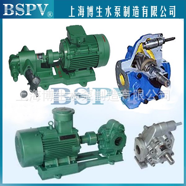 KCB18.3鑄鐵普通電機(jī)齒輪油泵 【上海齒輪油泵】