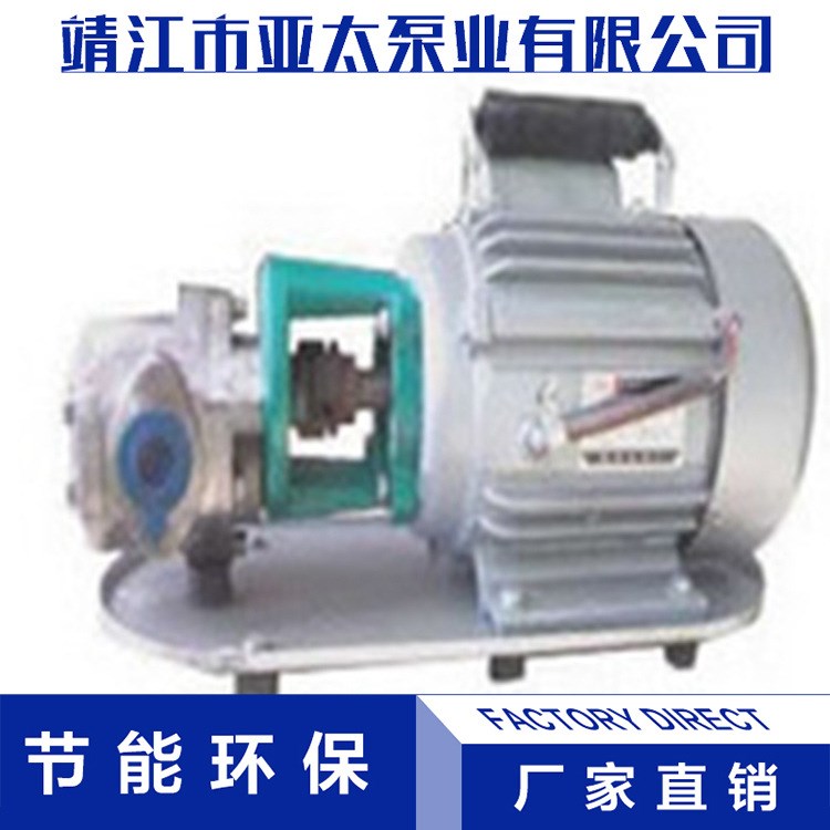 廠家直銷  WCB型手提式齒輪油泵  不銹鋼微型高粘度轉子泵