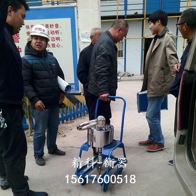 3t電子吊秤新鄉(xiāng)市報(bào)價(jià) 塔吊專用掛鉤秤 無線傳輸電子吊磅批發(fā)廠家