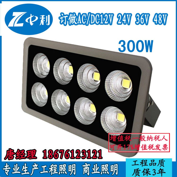 廠家直銷交流36V投光燈LED聚光燈300W  防爆LED泛光燈300W