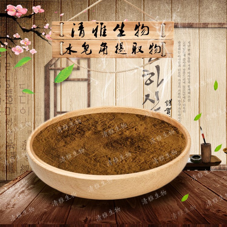 水皂角提取物10:1 水皂角苷/甙 水皂角提取物 廠家直銷 現(xiàn)貨包郵