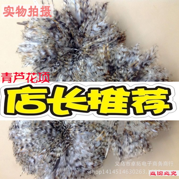 廠家批發(fā)野雞毛4-6英寸青蘆花項毛DIY羽毛蘆花彩色捕夢網(wǎng)耳環(huán)飾品