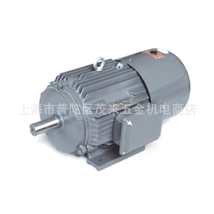 批發(fā)上海德東三相異步電機(jī)YEJ電磁制動(dòng)三相異步電動(dòng)機(jī) 國(guó)標(biāo)全銅線
