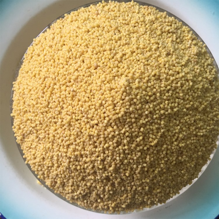 小米 農家自產五谷雜糧食用天然寶寶粟米 陜西真空包裝黃小米