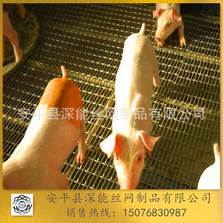 生產 塑料 金屬 養(yǎng)殖底網 羊床網  豬床漏糞板網  雞鴨腳踏網