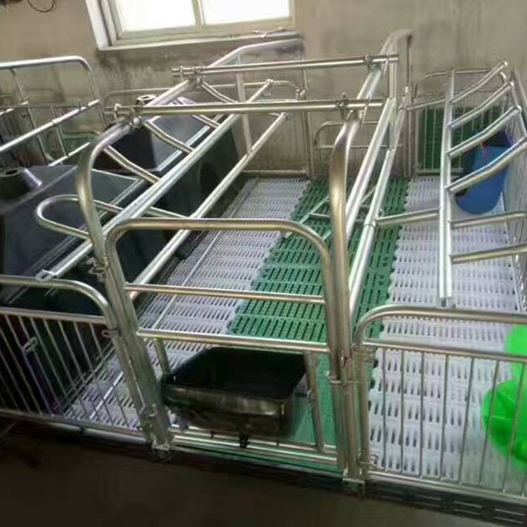 廠家直銷 仔豬復合保育床 雙體小豬保育床 復合漏糞板豬用保育床