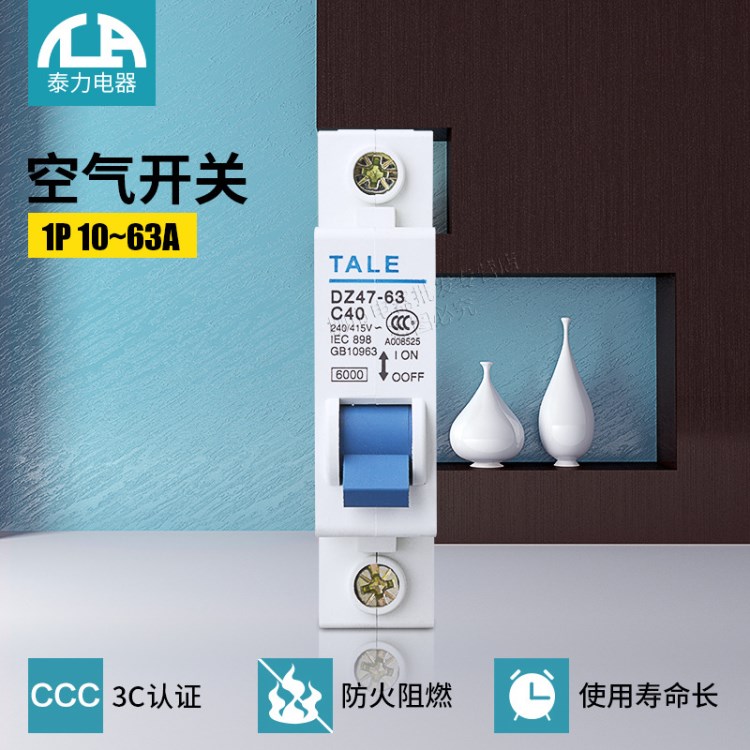 泰力小型斷路器DZ47-631P家用空氣開關(guān) 低壓過載保護(hù)器低壓電器