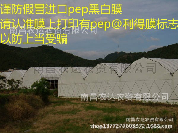 光伏農(nóng)業(yè)大棚 pep利得膜  食用菌大棚黑白膜 利得膜 黑白膜