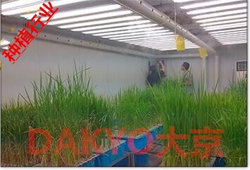 種植行業(yè) 大棚蔬菜　超市水果　海鮮專用保鮮增濕機 DAKYO大京