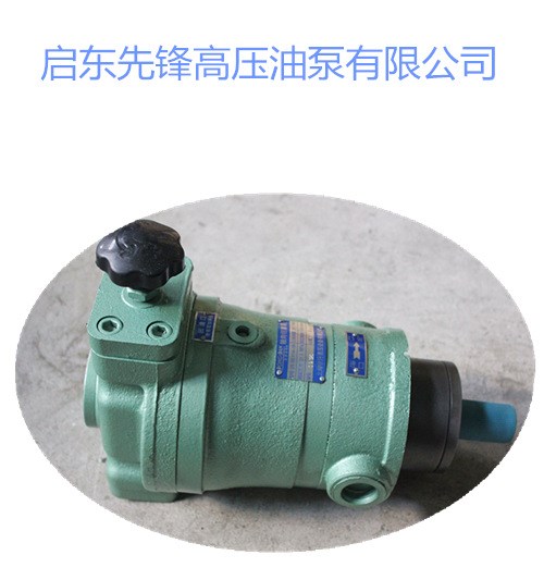 廠家直銷10SCY14-1B軸向柱塞泵液壓泵