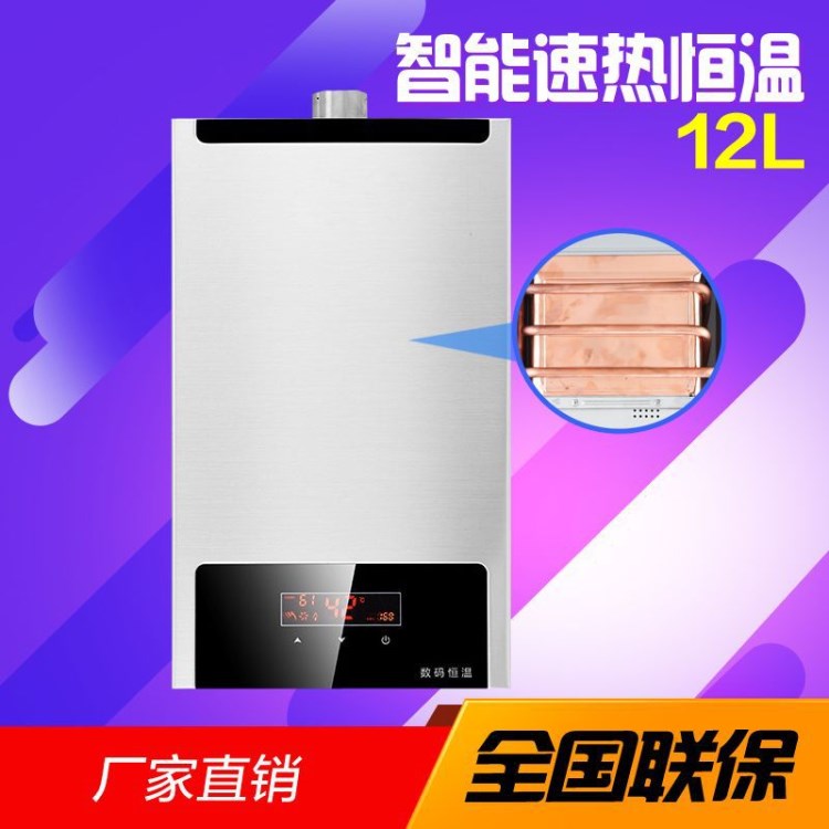 家用液化天然氣不銹鋼12L強(qiáng)排智能數(shù)碼恒溫燃?xì)鉄崴鲝S家批發(fā)