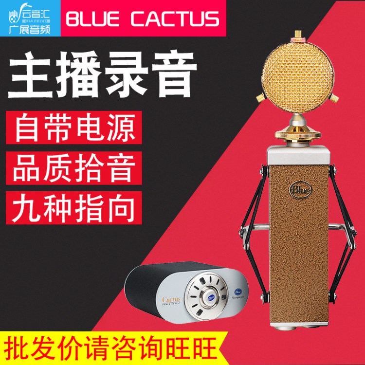 宝迪行货BLUE Cactus 仙人掌录音棚电容麦克风电子管录音话筒