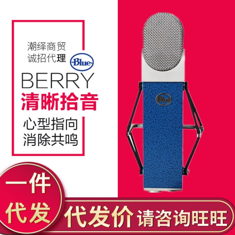 宝迪行货BLUE berry蓝莓电容麦克风录音棚音乐制作大震膜话筒